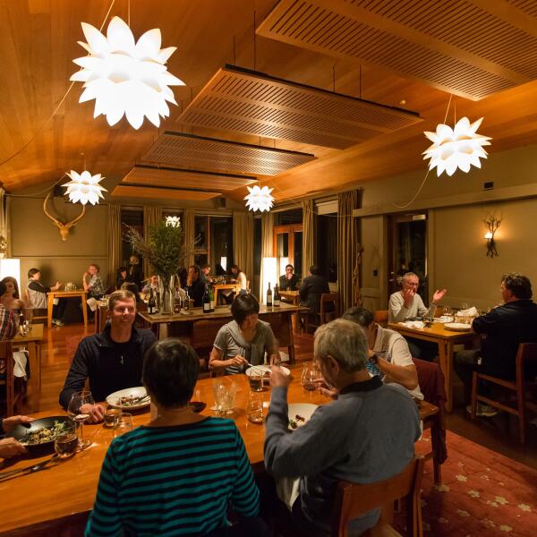 1 108 hapuku lodge tree houses restaurant open from october 1st 1600228451