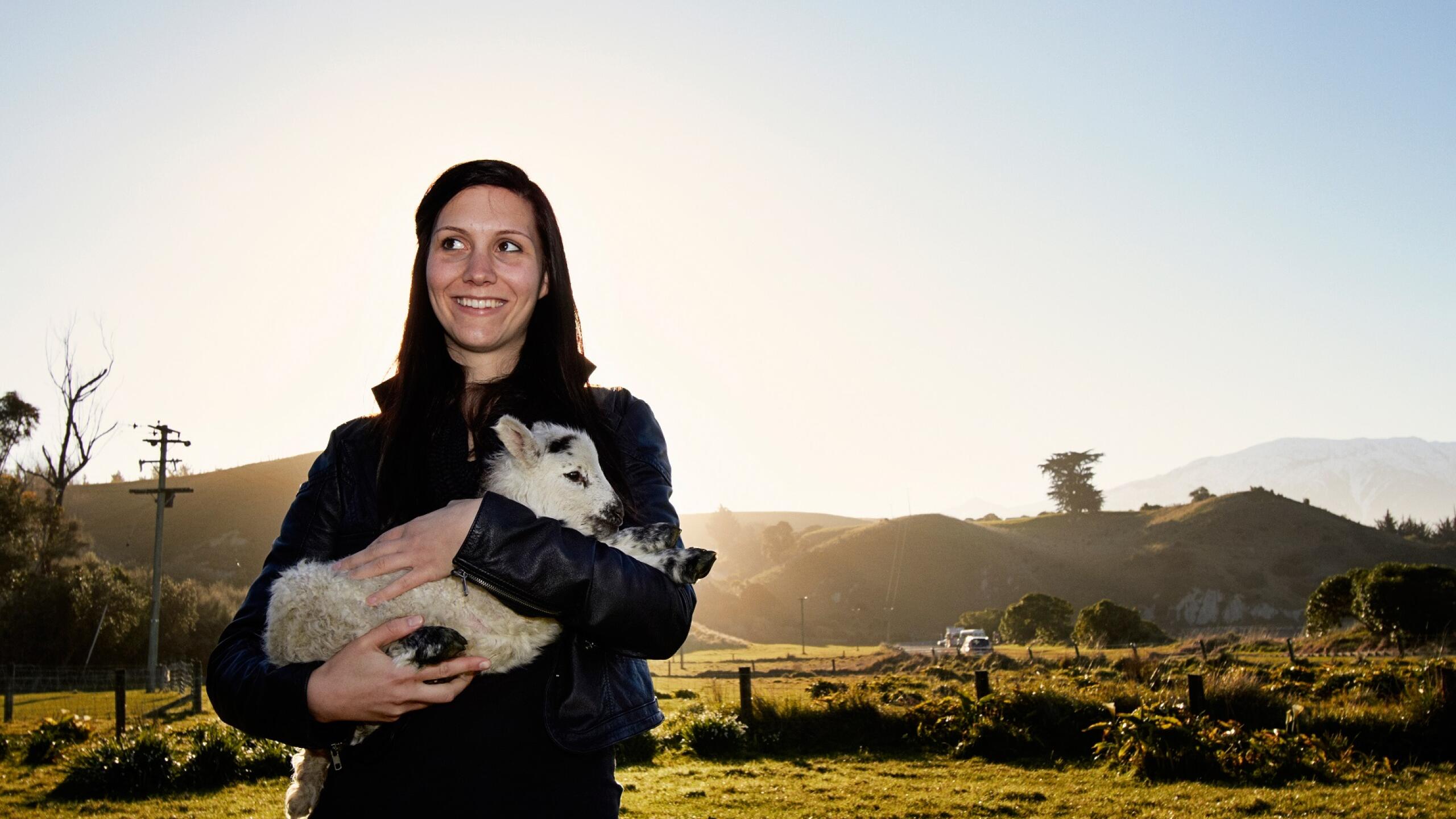 1 135 the point sheep shearing 1561417502