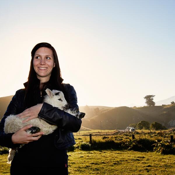 1 135 the point sheep shearing 1561417502