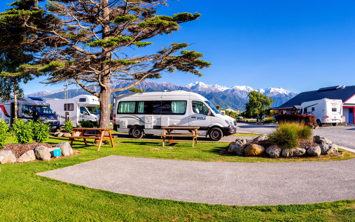 1 150 kaikoura top 10 holiday park 1551846265