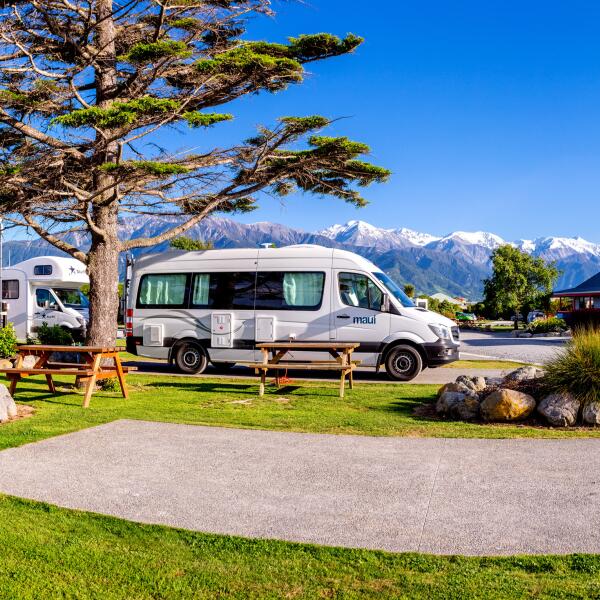 1 150 kaikoura top 10 holiday park 1551846265