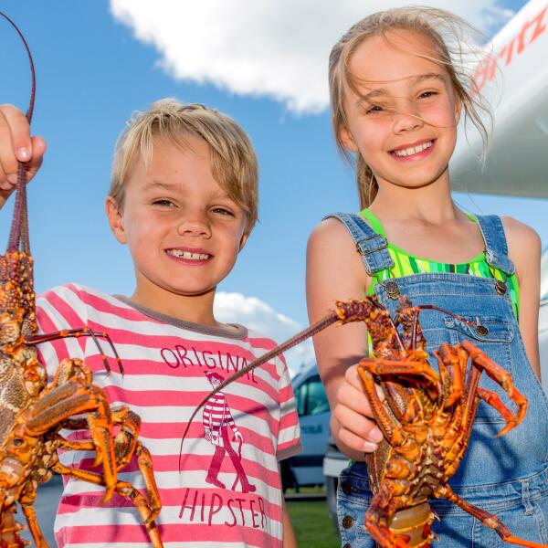 2 150 kaikoura top 10 holiday park 1551846265