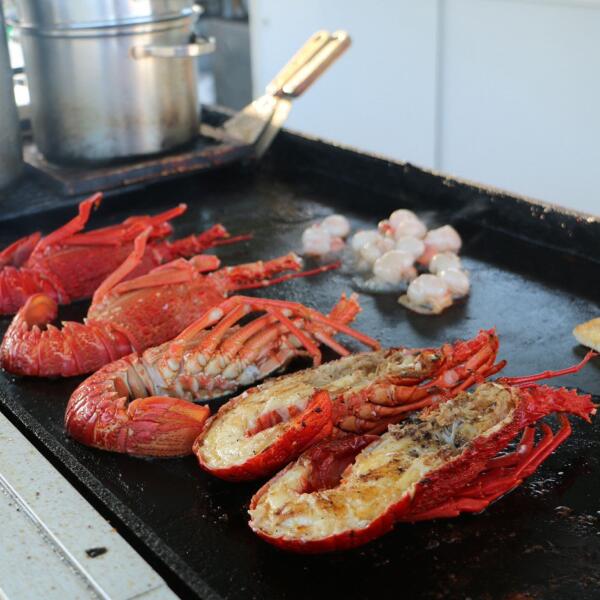 2 96 kaikoura seafood bbq 1560556810