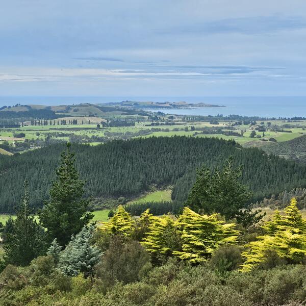 View from Ata Rangi Lodge