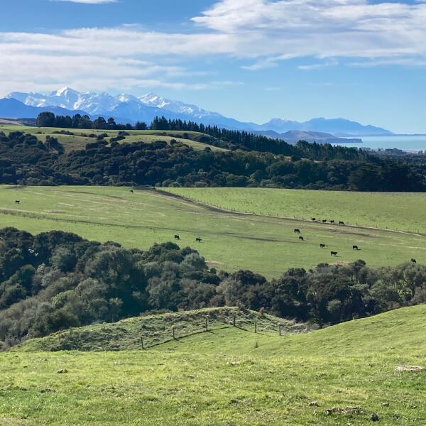 LF view from Cava pasture north 19Aug21