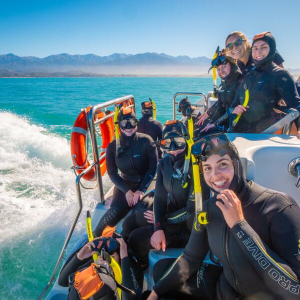 Ocean Life in Kaikoura