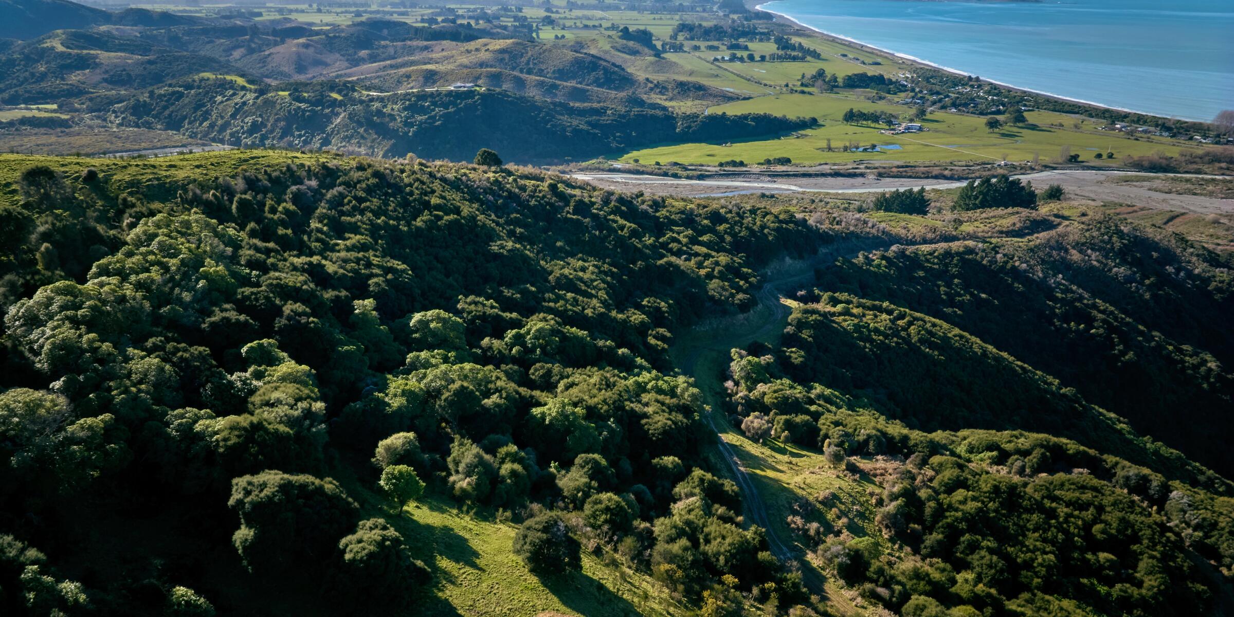 EcoZip Adventures Kaikoura site 2