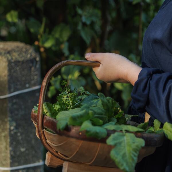 Hapuku Kitchen Cooking School Forage
