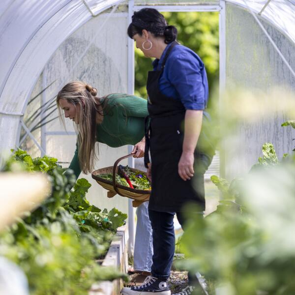 Hapuku Kitchen Cooking School Growtunnel