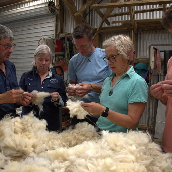 Kaikoura Bespoke Tours Birchwood Farm with Farmer John Kristin