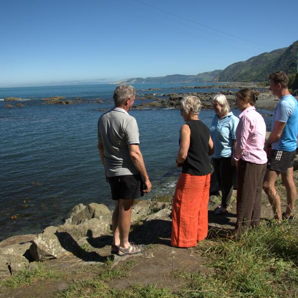 Kaikoura Bespoke Tours Customized Tours with your interests