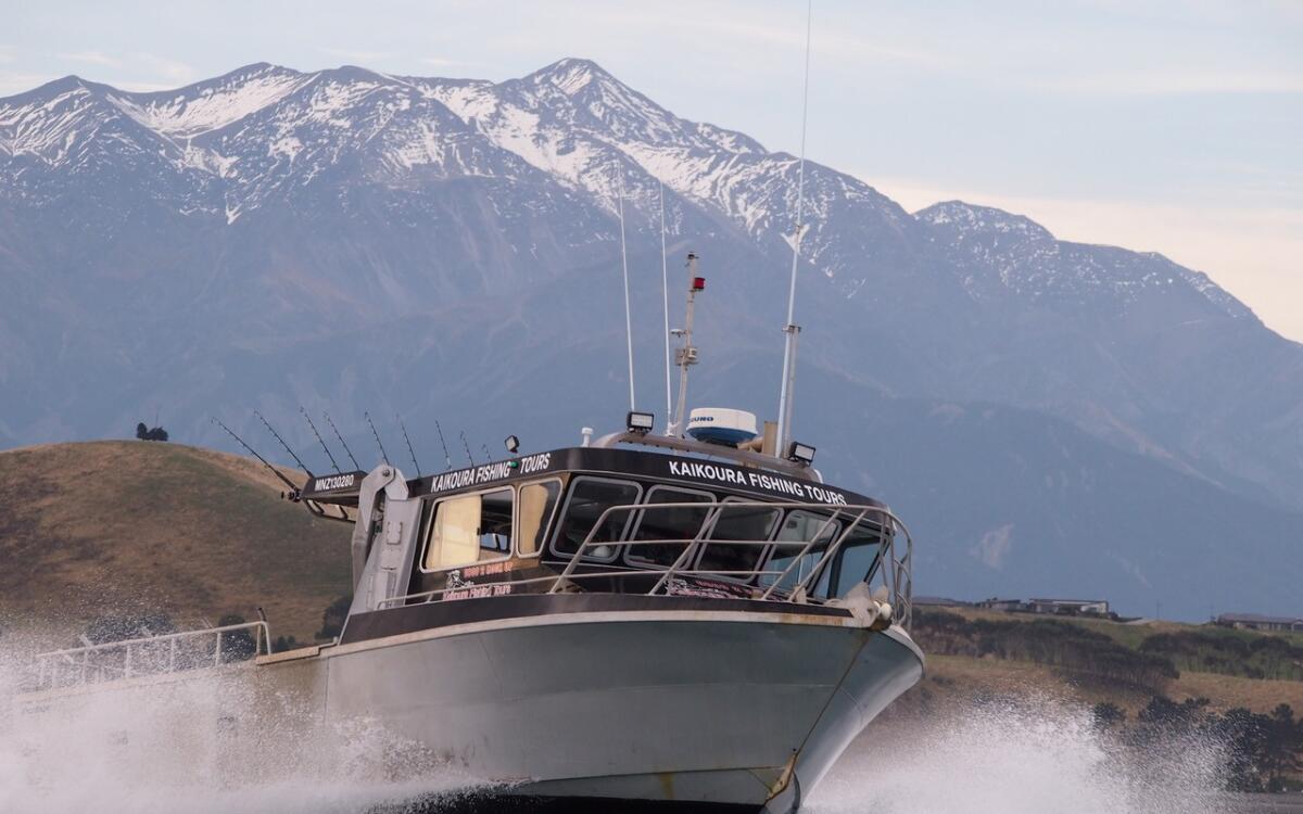 1 184 kaikoura fishing tours 1594855585