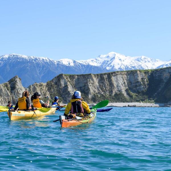 Kaikoura Kayaks South Bay