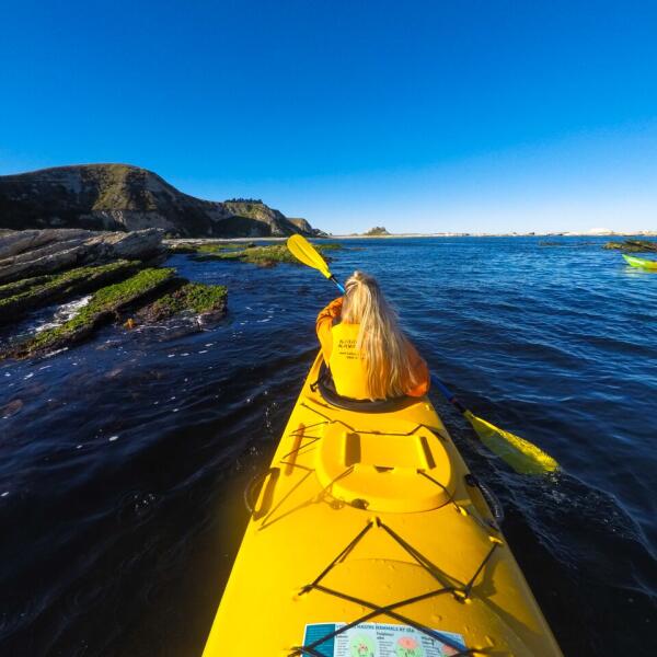 Sea Kayak1 Photo Bare Kiwi
