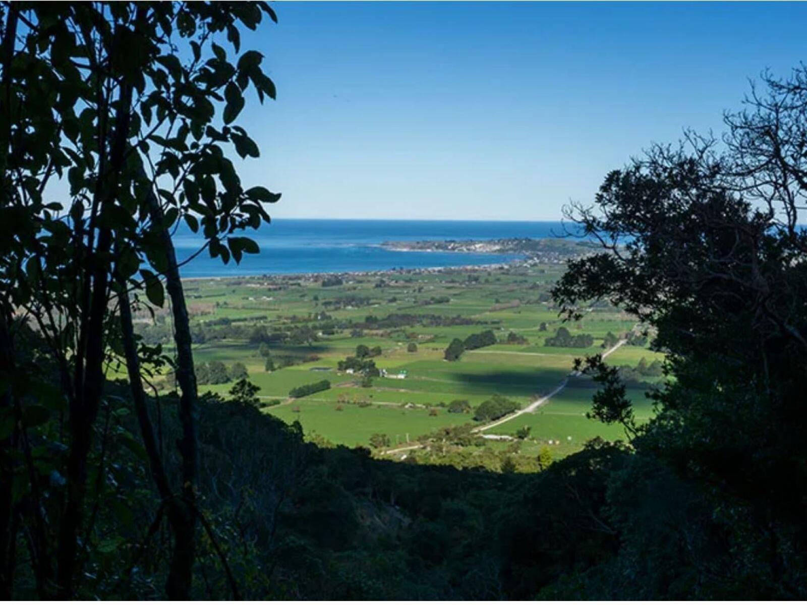 Fyffe Palmer Walk