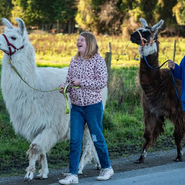 2 178 llama trekking kaikoura 1605740170