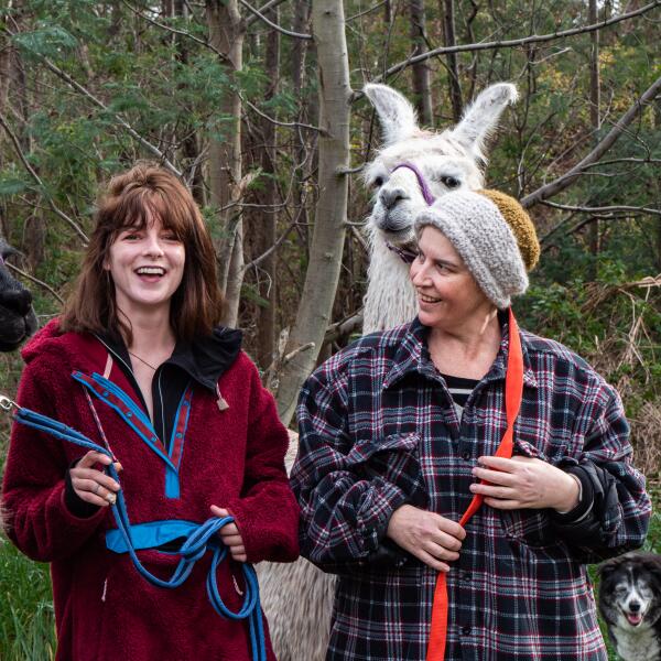 3 178 llama trekking kaikoura 1605740170