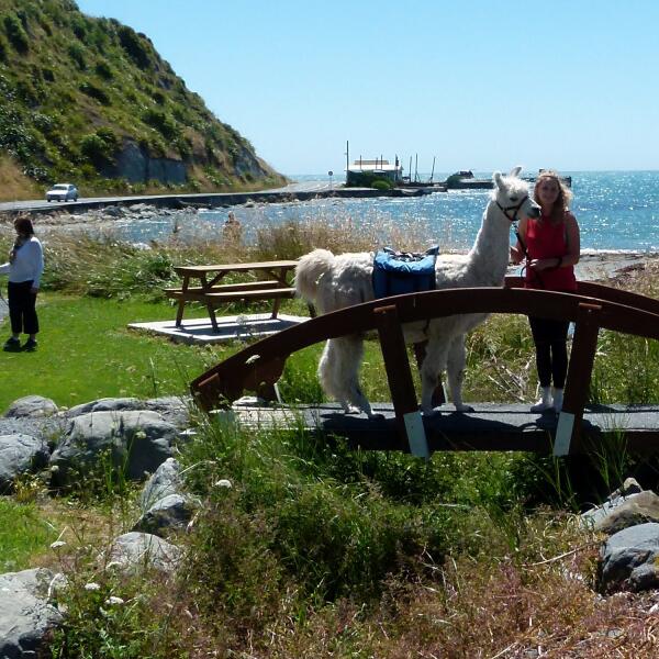 P1030222 cropped