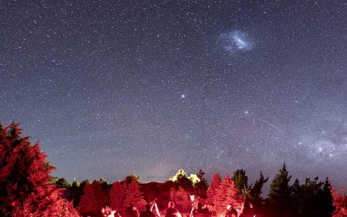 Moana Skies 2