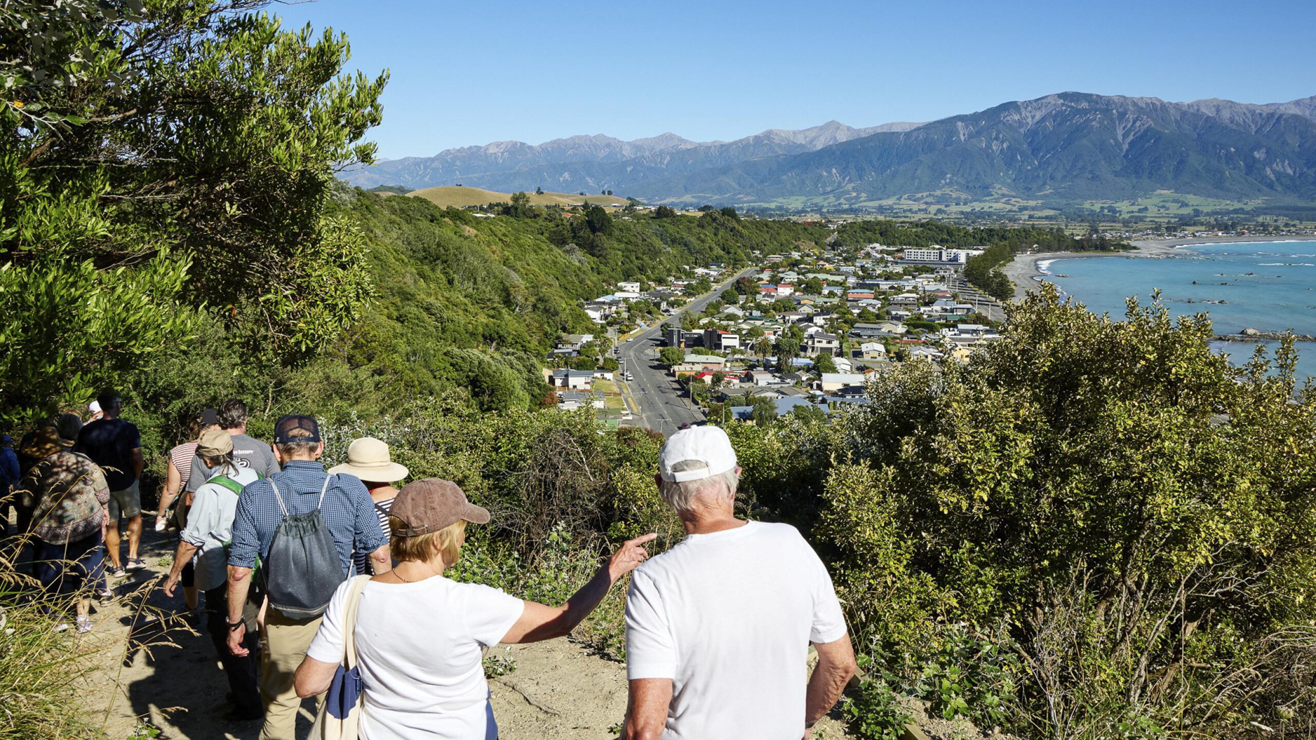 Kaikoura Walks for Web header