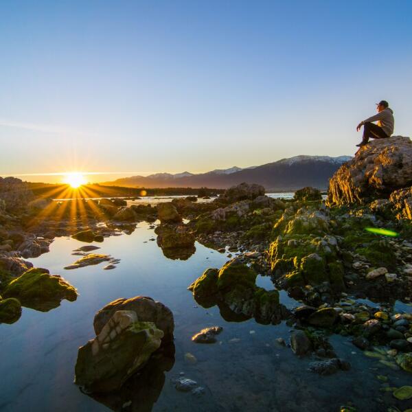 New seabed at sunrise Photo Bare Kiwi