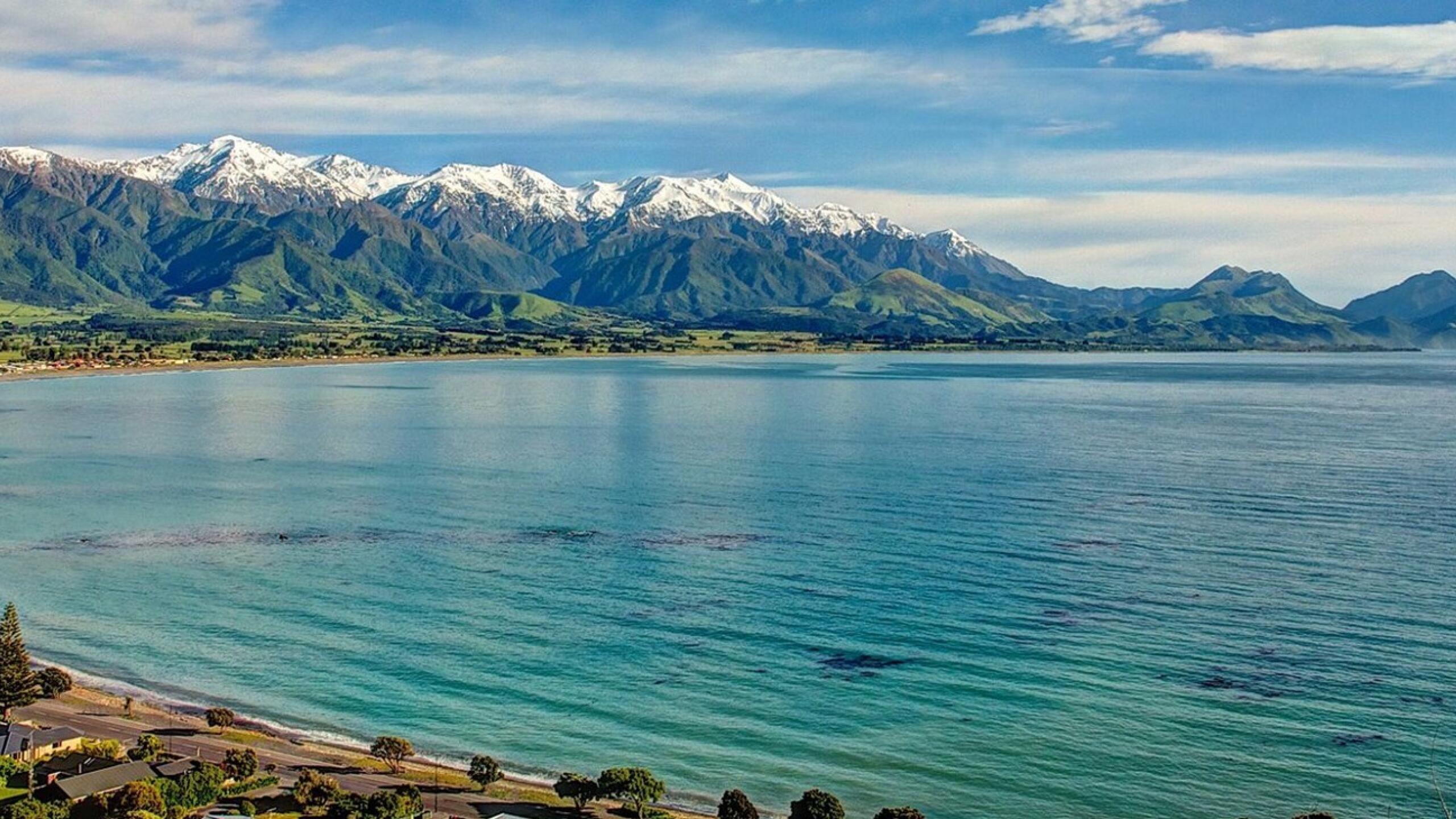kaikoura bay