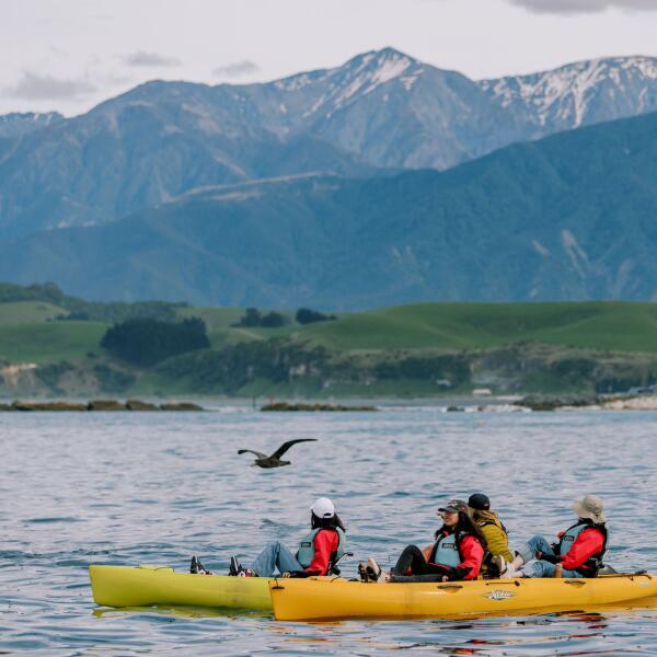 Seal Kayak 4