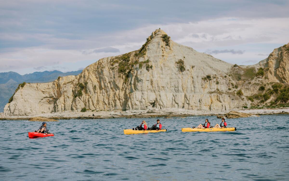 Seal Kayak 5