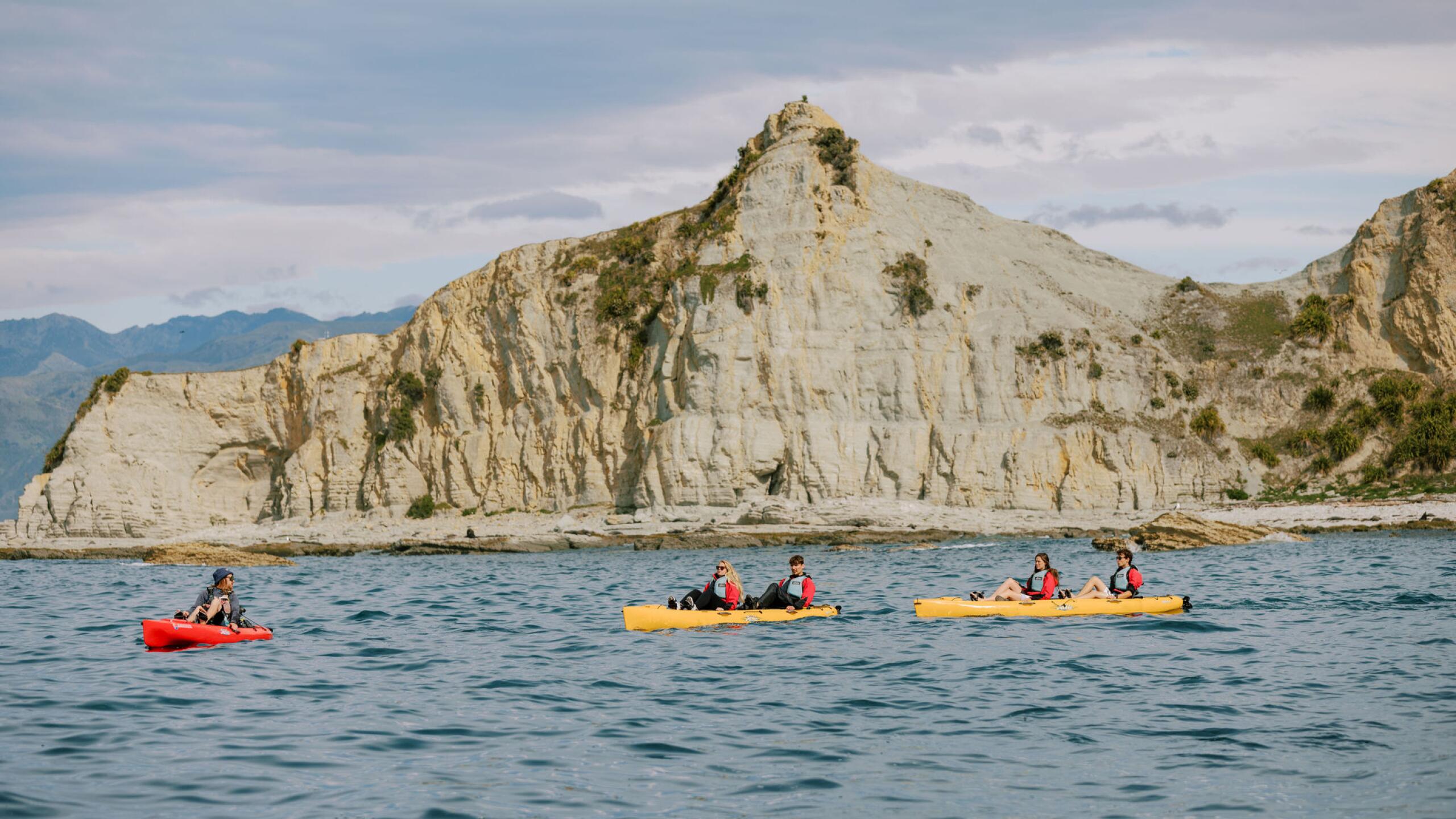 Seal Kayak 5