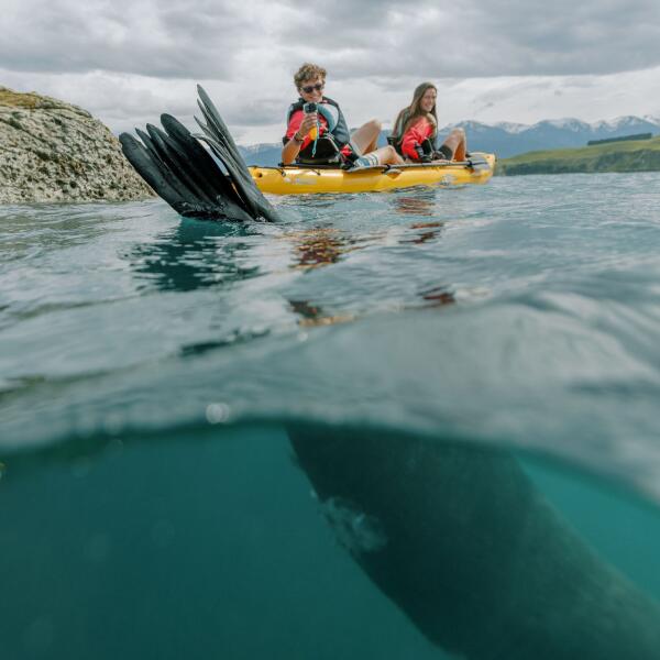 Seal Kayak 6