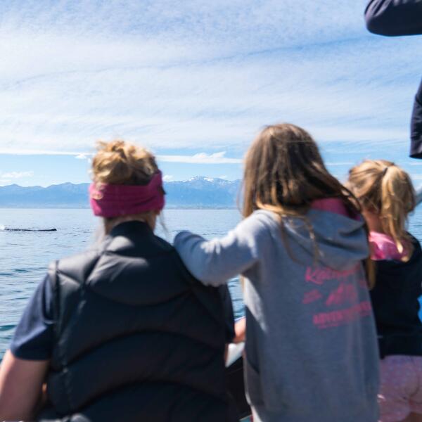 Whale Watch Kaikoura