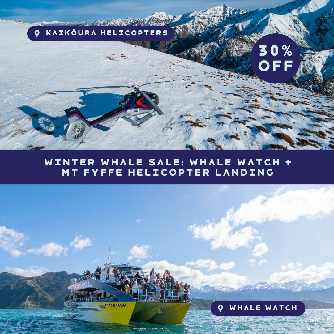 Kaikoura Helicopters + Whale Watch Winter Deal