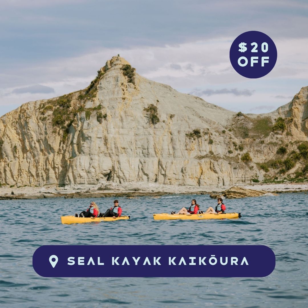 Seal Kayak Kaikoura Winter Deal