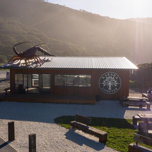 Karaka lobster 1 of 56