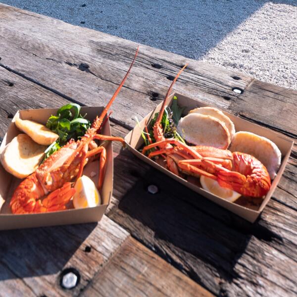 Karaka lobster 17 of 56 cropped