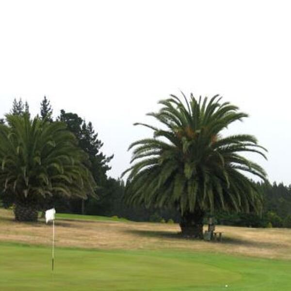 Golfcourse