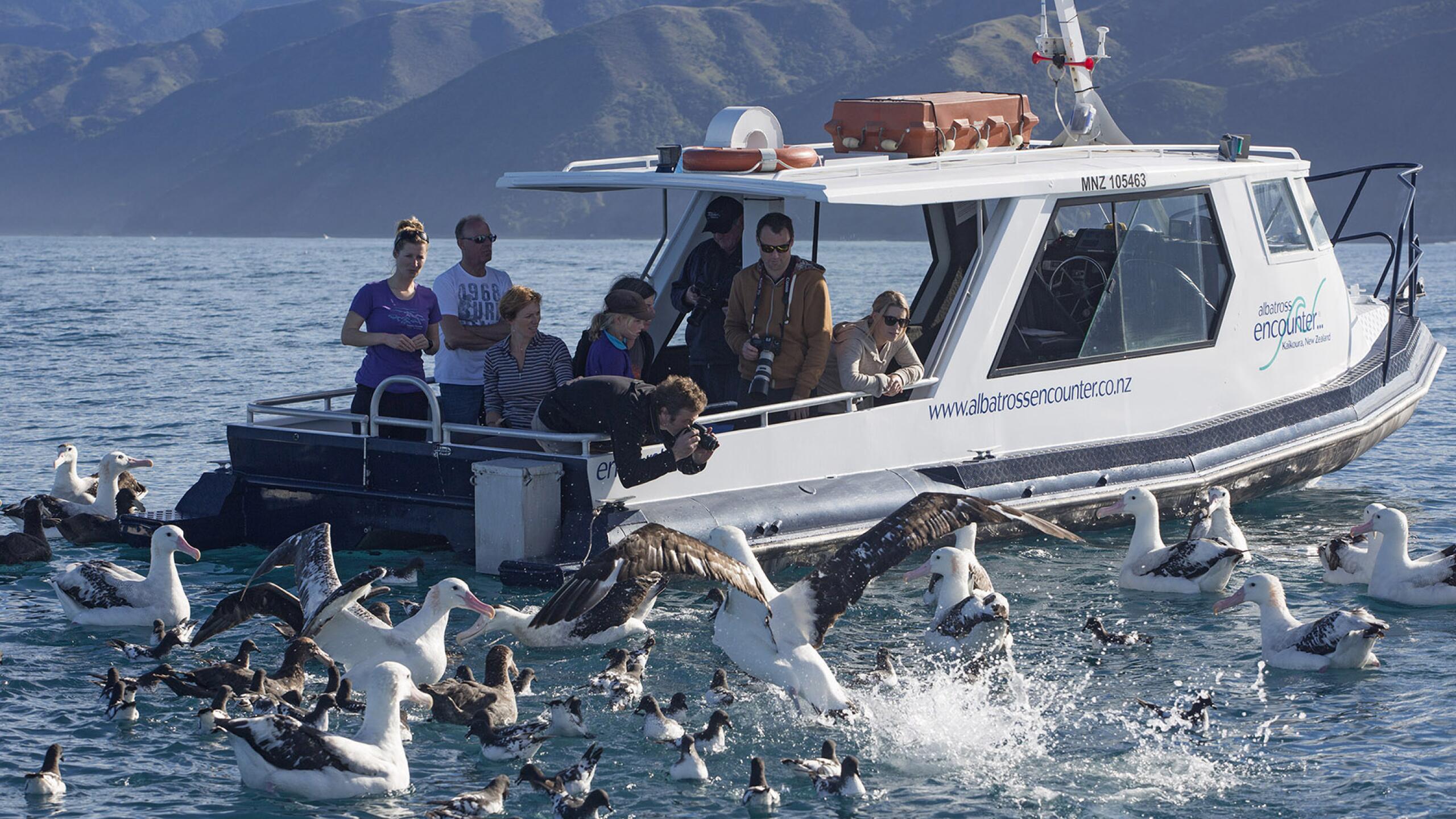 1 97 albatross encounter 1559619567 1