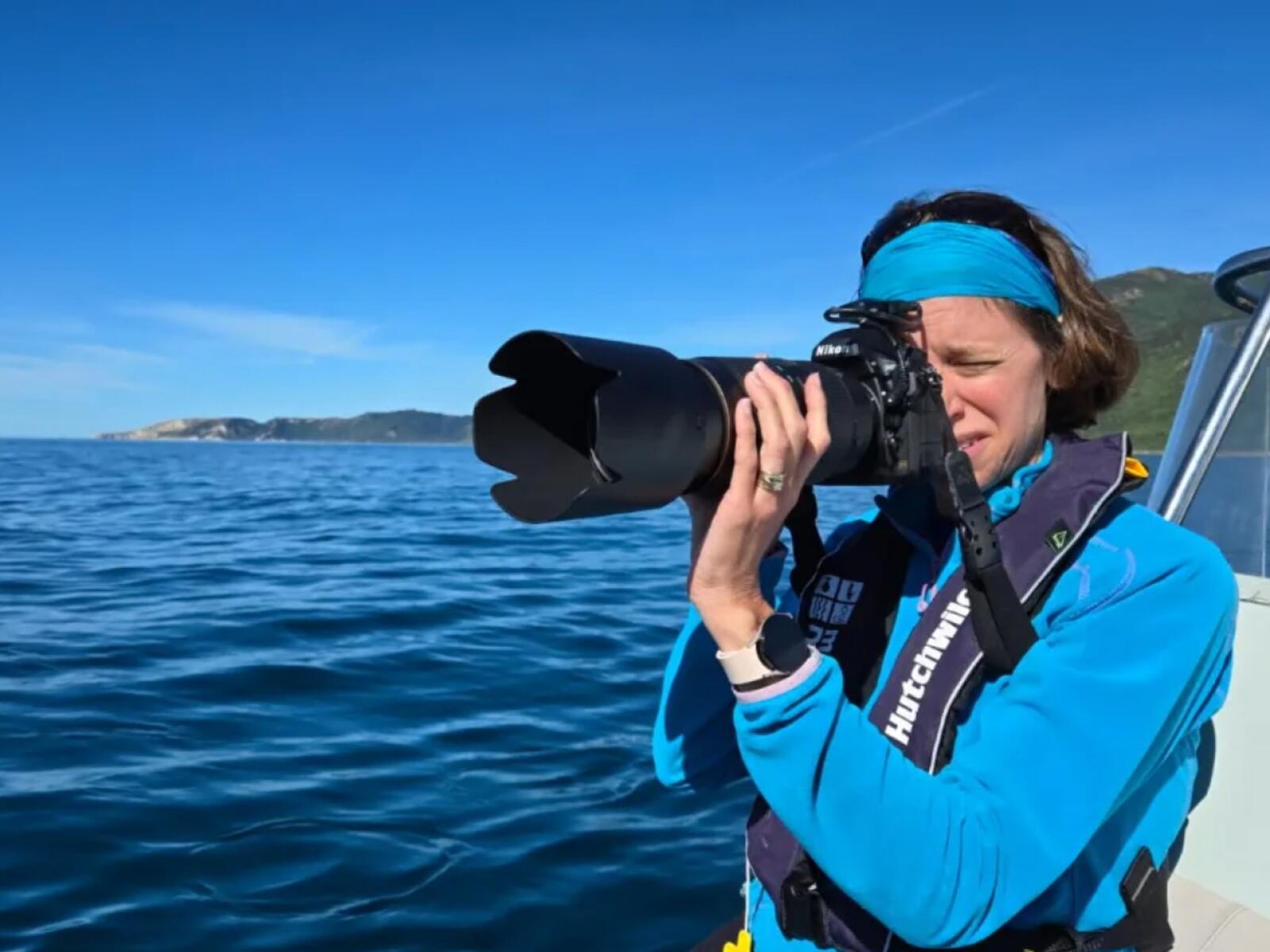Dolphin research
