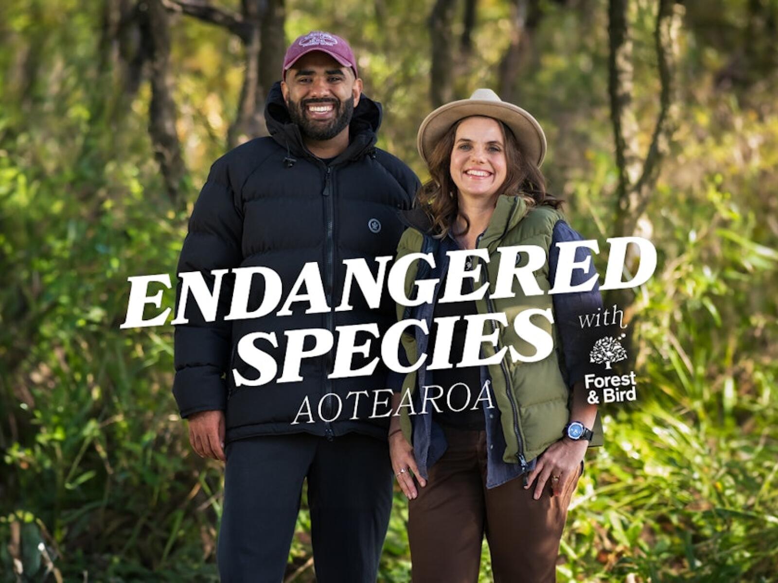 Endangered Species Aoteroa Showtile3