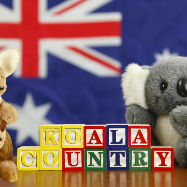 Koala country