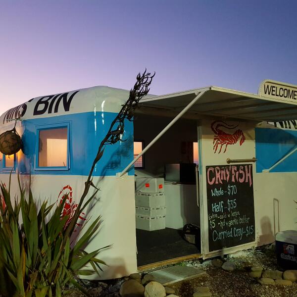 Nins Bin Kaikoura v2