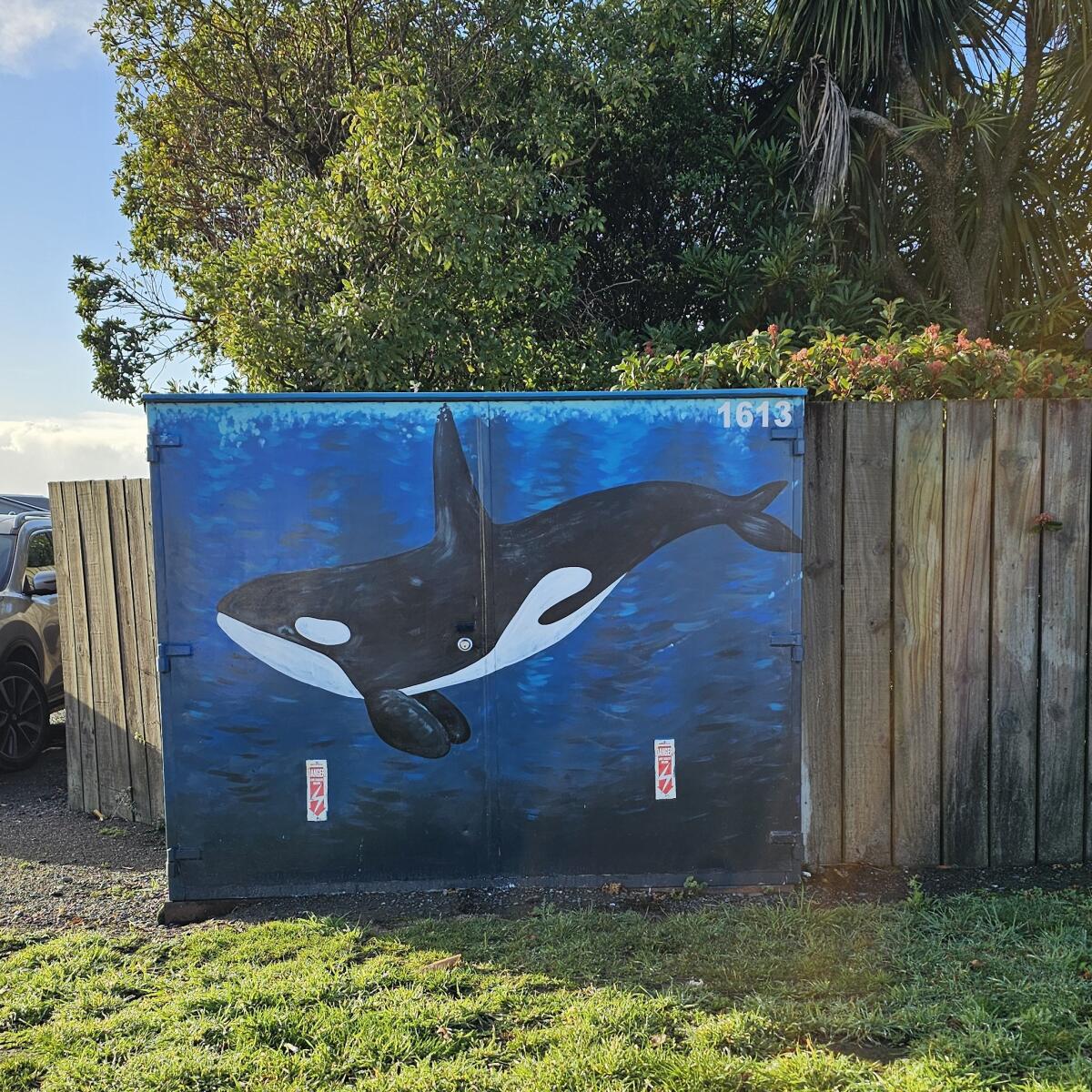 Orca