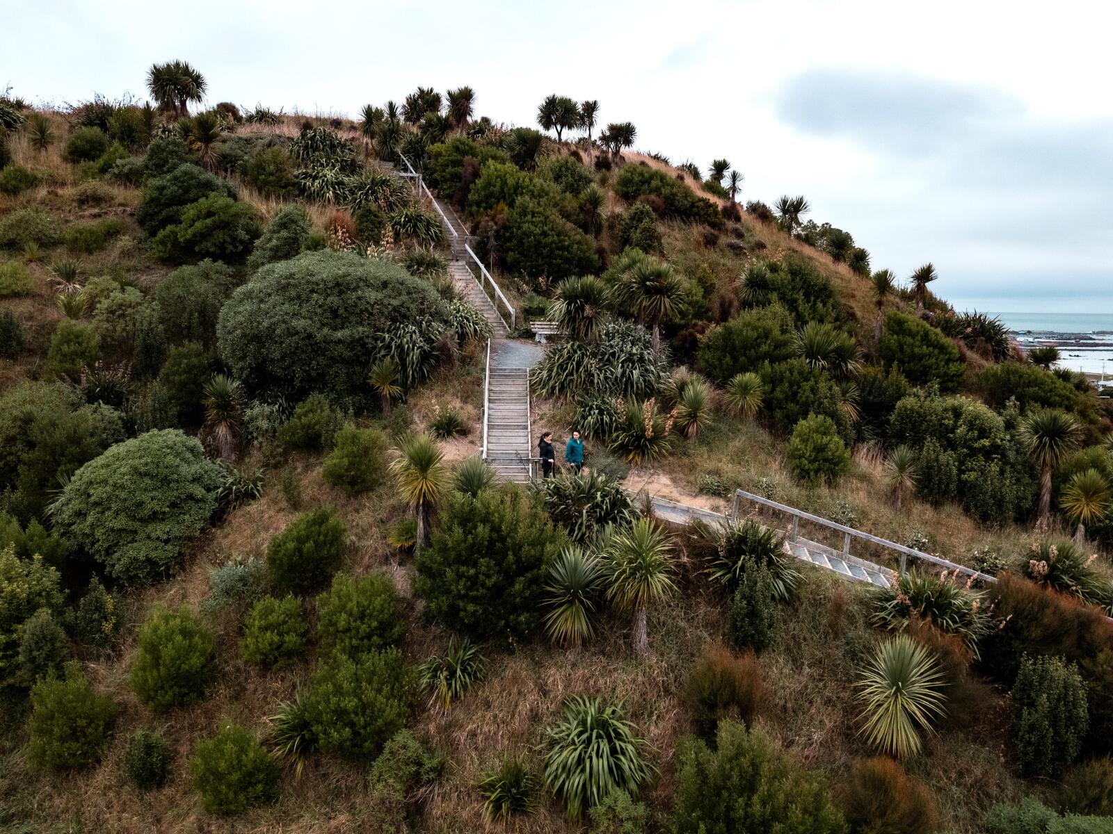Toms Track 7b