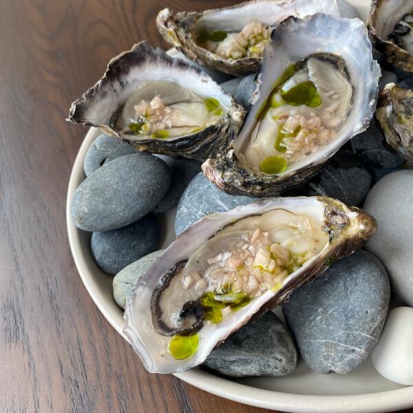 oysters