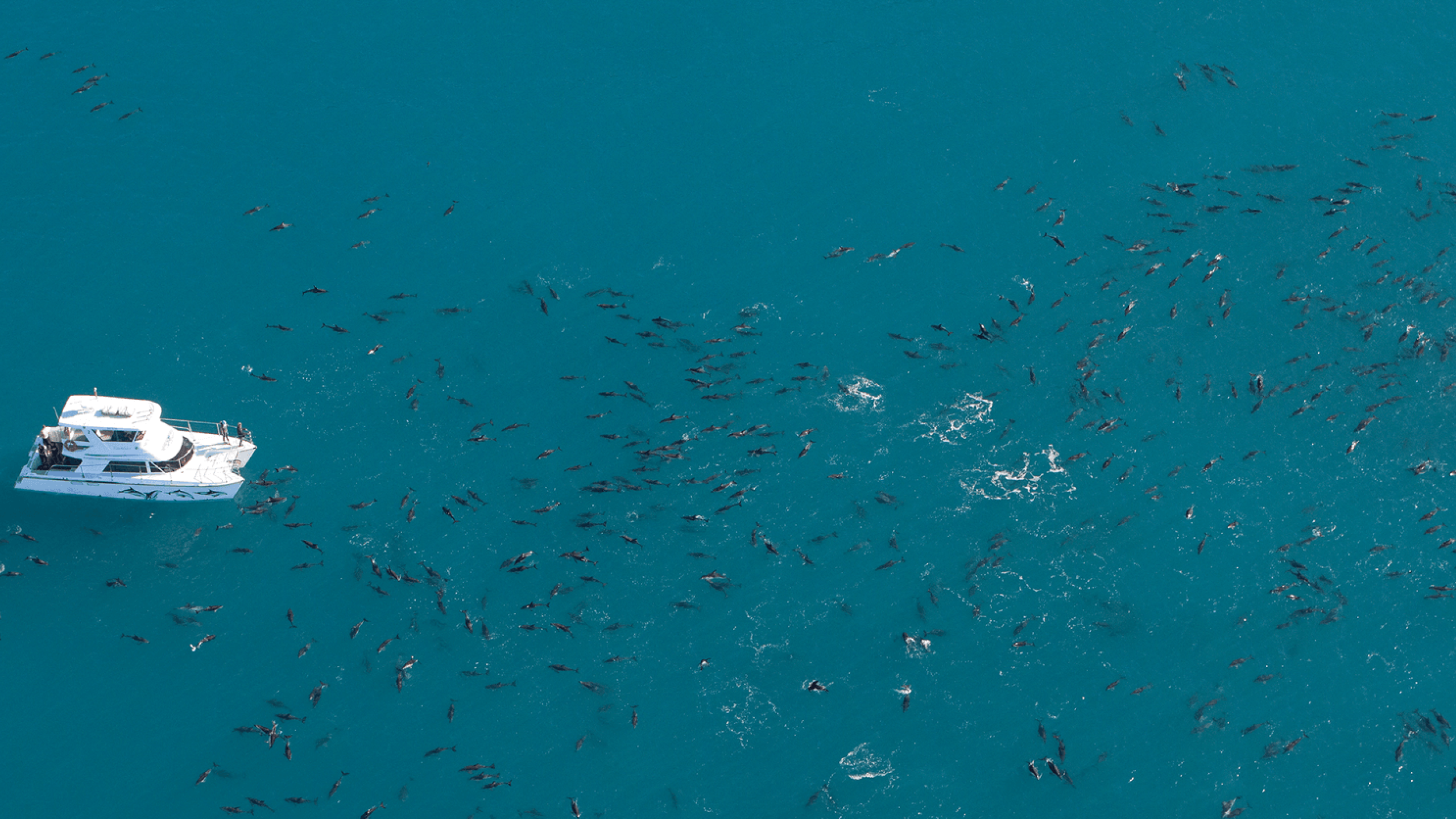 stay featured header compressor