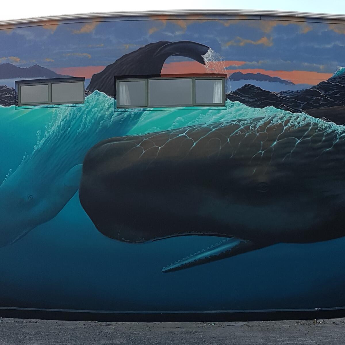 Whale Mural on the old Pot Belly Building